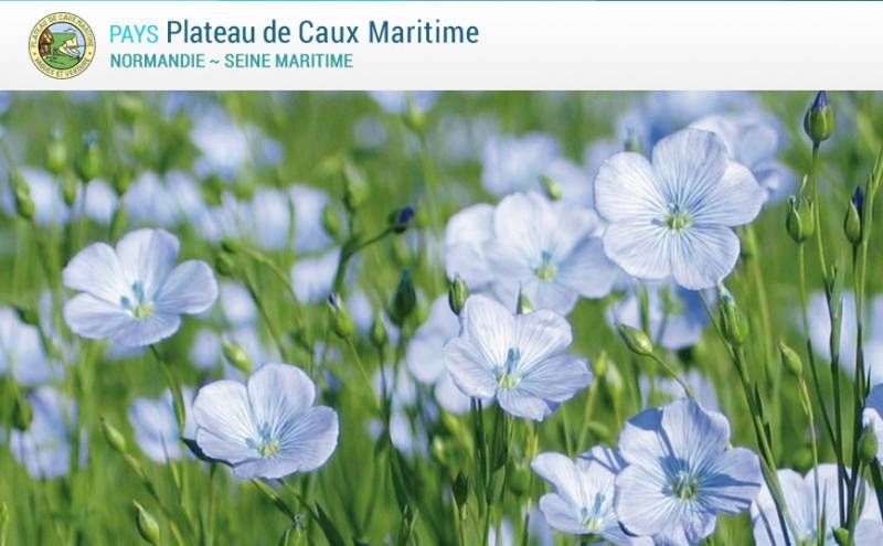 Office du tourisme de la Côte d'Albâtre