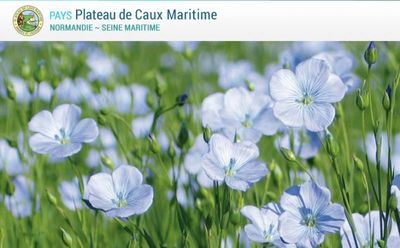 Office du tourisme de la Côte d'Albâtre